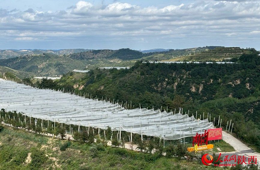 �������ɽ��ô�̰�����