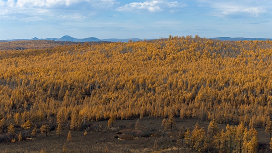 �Ӱ�����Ʒ